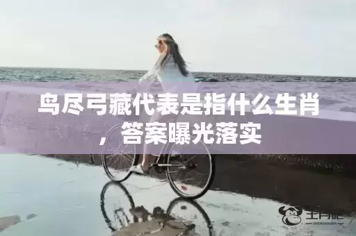 鸟尽弓藏代表是指什么生肖,答案曝光落实 鸟尽弓藏代表是指什么生肖,答案曝光落实