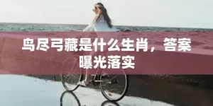 鸟尽弓藏是什么生肖，答案曝光落实