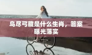 鸟尽弓藏是什么生肖，答案曝光落实