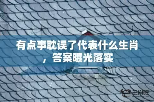 有点事耽误了代表什么生肖，答案曝光落实