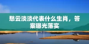 愁云淡淡代表什么生肖，答案曝光落实