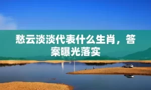 愁云淡淡代表什么生肖，答案曝光落实