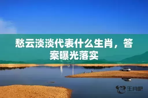 愁云淡淡代表什么生肖，答案曝光落实