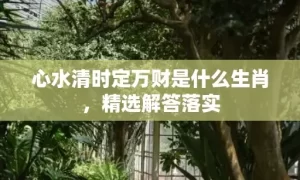 心水清时定万财是什么生肖，精选解答落实