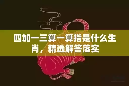 四加一三算一算指是什么生肖，精选解答落实