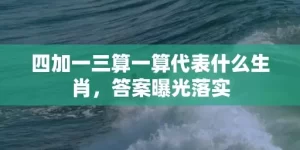 四加一三算一算代表什么生肖，答案曝光落实