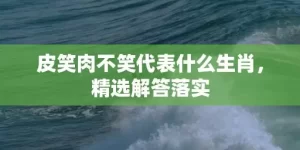 皮笑肉不笑代表什么生肖，精选解答落实