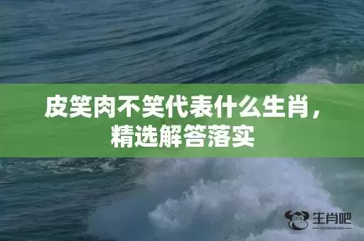皮笑肉不笑代表什么生肖,精选解答落实 皮笑肉不笑代表什么生肖,精选解答落实