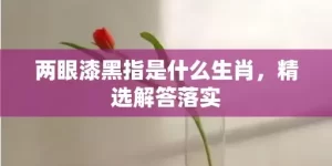 两眼漆黑指是什么生肖，精选解答落实