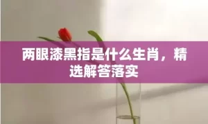 两眼漆黑指是什么生肖，精选解答落实