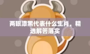 两眼漆黑代表什么生肖，精选解答落实