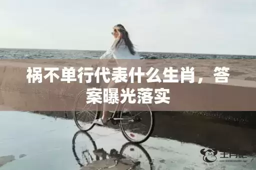 祸不单行代表什么生肖，答案曝光落实