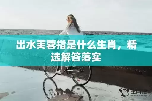 出水芙蓉指是什么生肖,精选解答落实 出水芙蓉指是什么生肖,精选解答落实