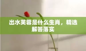 出水芙蓉是什么生肖，精选解答落实