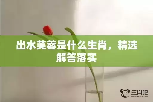 出水芙蓉是什么生肖,精选解答落实 出水芙蓉是什么生肖,精选解答落实