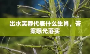 出水芙蓉代表什么生肖，答案曝光落实