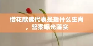 借花献佛代表是指什么生肖，答案曝光落实