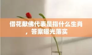 借花献佛代表是指什么生肖，答案曝光落实