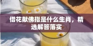 借花献佛指是什么生肖，精选解答落实