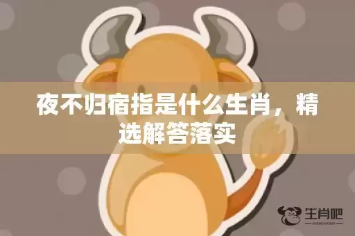 夜不归宿指是什么生肖，精选解答落实