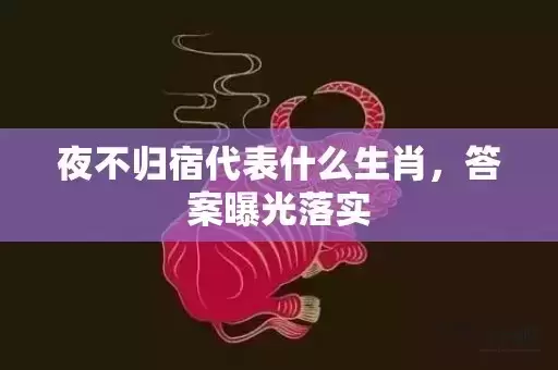 夜不归宿代表什么生肖,答案曝光落实 夜不归宿代表什么生肖,答案曝光落实