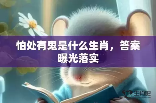 怕处有鬼是什么生肖，答案曝光落实