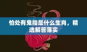 怕处有鬼指是什么生肖，精选解答落实