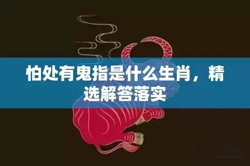 怕处有鬼指是什么生肖，精选解答落实
