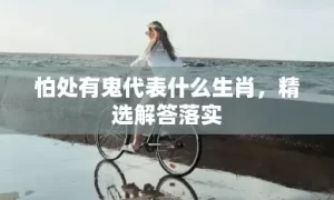 怕处有鬼代表什么生肖，精选解答落实