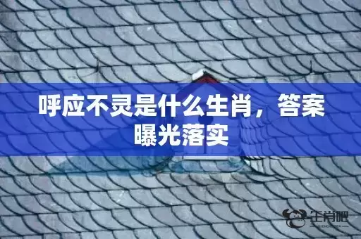 呼应不灵是什么生肖，答案曝光落实