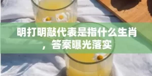 明打明敲代表是指什么生肖，答案曝光落实