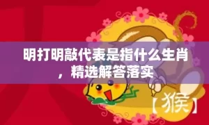 明打明敲代表是指什么生肖，精选解答落实