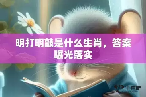 明打明敲是什么生肖，答案曝光落实