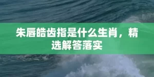 朱唇皓齿指是什么生肖，精选解答落实