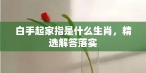 白手起家指是什么生肖，精选解答落实