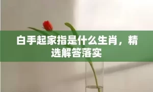 白手起家指是什么生肖，精选解答落实