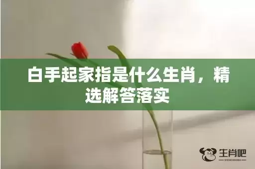 白手起家指是什么生肖,精选解答落实 白手起家指是什么生肖,精选解答落实