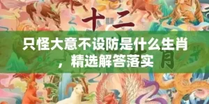 只怪大意不设防是什么生肖，精选解答落实