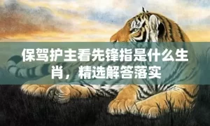 保驾护主看先锋指是什么生肖，精选解答落实