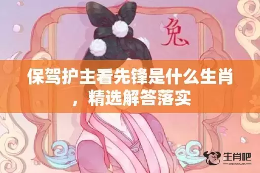 保驾护主看先锋是什么生肖，精选解答落实