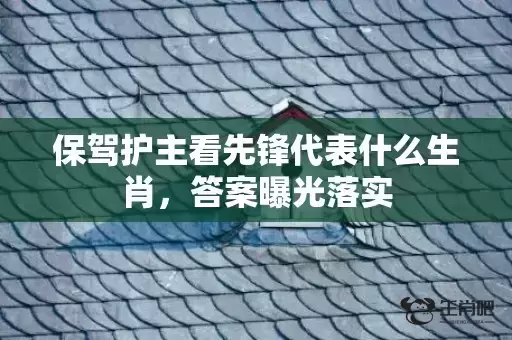 保驾护主看先锋代表什么生肖，答案曝光落实