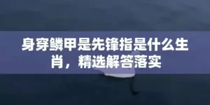 身穿鳞甲是先锋指是什么生肖，精选解答落实