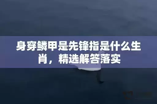 身穿鳞甲是先锋指是什么生肖，精选解答落实