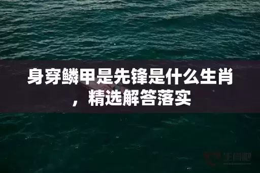 身穿鳞甲是先锋是什么生肖，精选解答落实