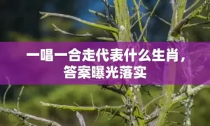 一唱一合走代表什么生肖，答案曝光落实