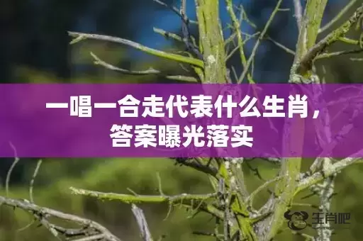 一唱一合走代表什么生肖,答案曝光落实 一唱一合走代表什么生肖,答案曝光落实