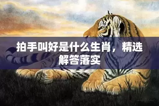 拍手叫好是什么生肖，精选解答落实