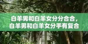 白羊男和白羊女分分合合，白羊男和白羊女分手有复合的可能吗