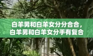 白羊男和白羊女分分合合，白羊男和白羊女分手有复合的可能吗