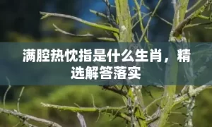 满腔热忱指是什么生肖，精选解答落实